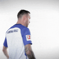 whats up bundesliga GIF by Hertha BSC