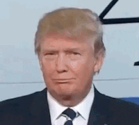 trump time GIF