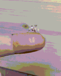 hello GIF