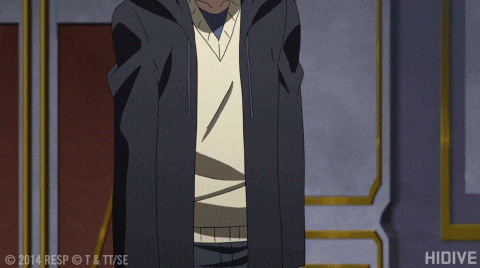 Akame Ga Kill Hidive Anime GIF by HIDIVE