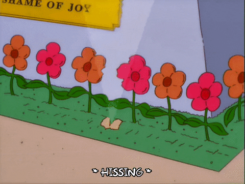 episode 19 flanders messed up GIF