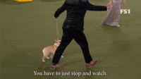 You Have To Just Stop And Watch