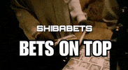 Shiba GIF by SHIBABETS.GG