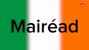 Luck Of The Irish Ireland GIF by BuzzFeed