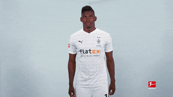 Happy Borussia Moenchengladbach GIF by Bundesliga