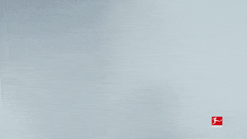 Proud Borussia Moenchengladbach GIF by Bundesliga