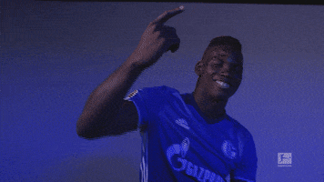 happy fc schalke GIF by Bundesliga