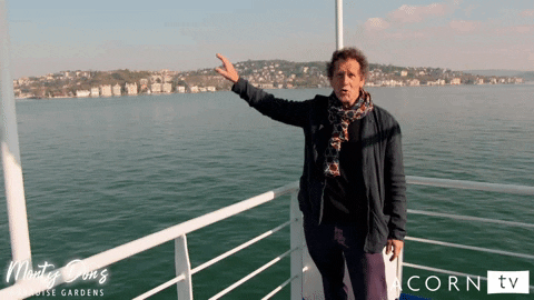 acorn-tv giphyupload travel bbc turkey GIF