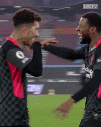 Van Dijk Hug GIF by Liverpool FC