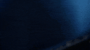 Dana Scully GIF by The X-Files