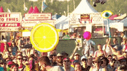 bonnaroo 2016 GIF by Bonnaroo Music and Arts Festival