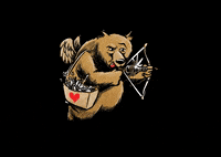 beerinabox craftbeer beerlove beerinabox GIF