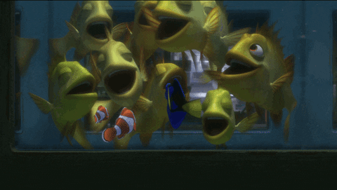 Finding Dory Laughing GIF by Disney/Pixar's Finding Dory