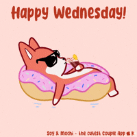 Wednesday Morning Chill GIF by SoyandMochi