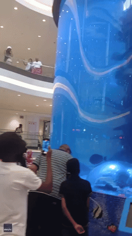 Shopping Mall Mermaid Struggles For Air as Tail Catches in Aquarium