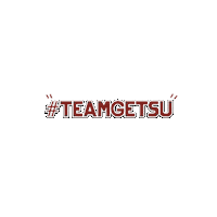 Shigetsu eyewear eyeglass shigetsu team getsu Sticker