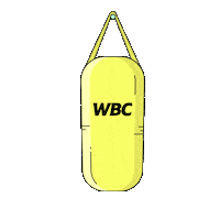 wbcboxinggiphy training boxing punch box Sticker