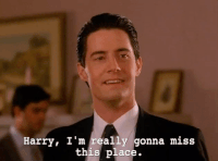 Season 2 Episode 10 GIF by Twin Peaks on Showtime