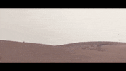 Fly Flying GIF by Airspeeder
