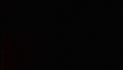 fired up swimming GIF by Minnesota State University Moorhead