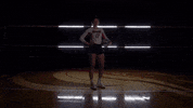 MSUMDragons dragons jenkins msum msum dragons GIF