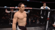 ufc 206 GIF