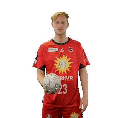 Handball Sticker by DAIKIN HBL