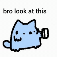 Spainnubcat GIF