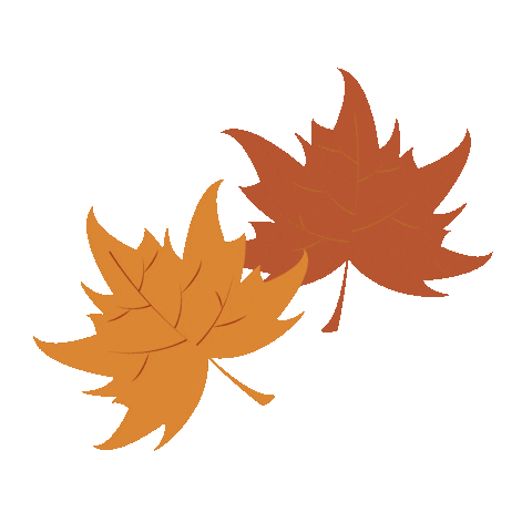 Maple Leaf Fall Sticker