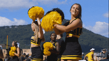 AppState app state appstate appalachian state GIF