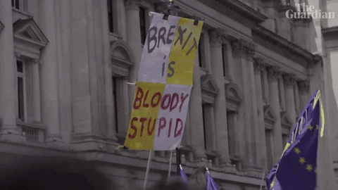 GIF by The Guardian