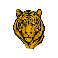 faunakids tiger fauna faunaie faunakids Sticker