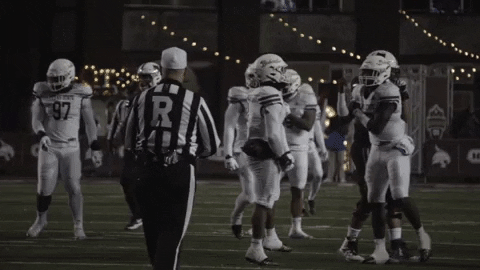 Sport Bobcats GIF by Texas State Football