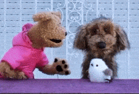 Mimos GIF by LIBERUM