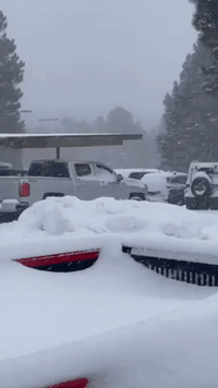 Snow Buries Flagstaff, Arizona