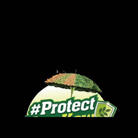 Health Protect GIF by Amway Malaysia