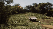 GIF by Outsiders