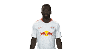 rb leipzig Sticker by Bundesliga