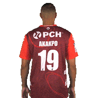 Handball Akakpo Sticker by 1. VFL Potsdam