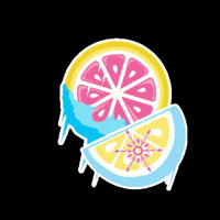 Lemon Grapefruit GIF by Accelerator Active Energy