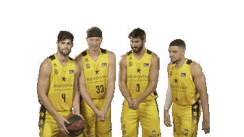Liga Endesa Basketball Sticker by ACB