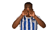 Home Swipe Up Sticker by Hertha BSC