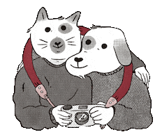 Cat Hug Sticker by martinrojasl