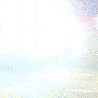 Hit Driving GIF by FIA European Rally Championship