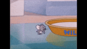 Tom And Jerry Nibbles GIF