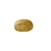 lisachiuqq food illustration cooker 饅頭 Sticker