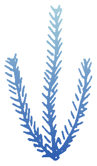Wave Sea Sticker by GOT BAG