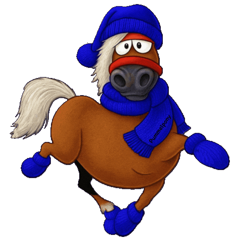 Snow Winter Sticker by Glamour by Reitsport SIBO