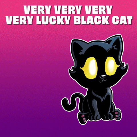 Black Cat Good Luck GIF by VeeFriends