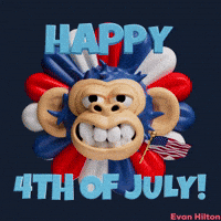 American Usa GIF by Evan Hilton